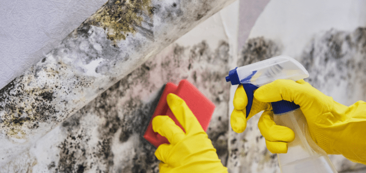 mold-removal-with-vinegar