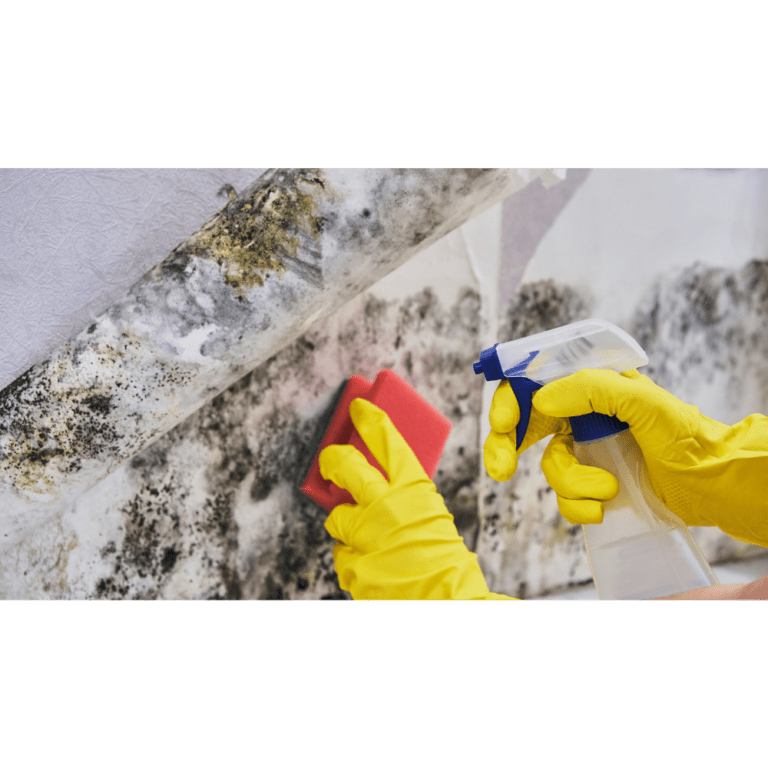 tips-for-removing-black-mold-from-basement-walls