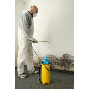 professional-mold-removal-minneapolis-mn