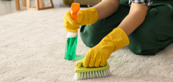 Removing Mold from Your Carpet