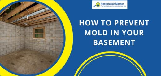 how to prevent mold in basement