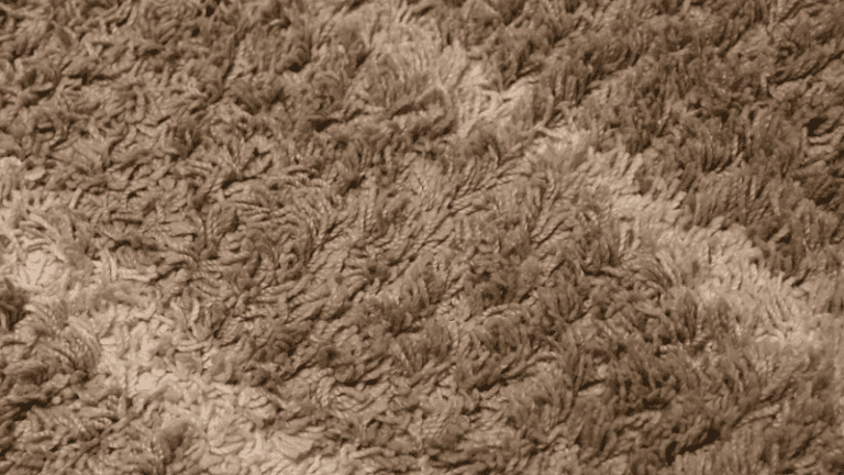 How to Clean Wool Carpeting After Water Damage