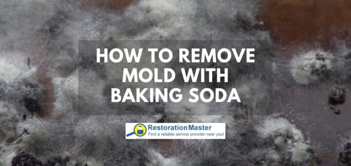 How to Remove Mold with Baking Soda - RestorationMaster