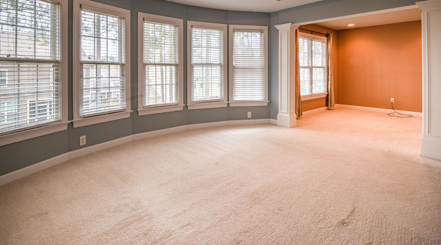 Living Room with Plenty Windows and Carpeted Floor
