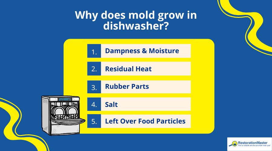 why mold grows in dishwasher