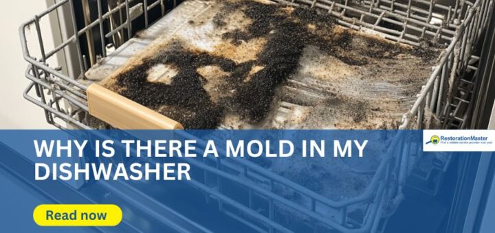 causes of mold in the dishwasher