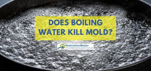 boiling water kills mold