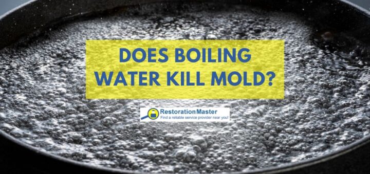 boiling water kills mold