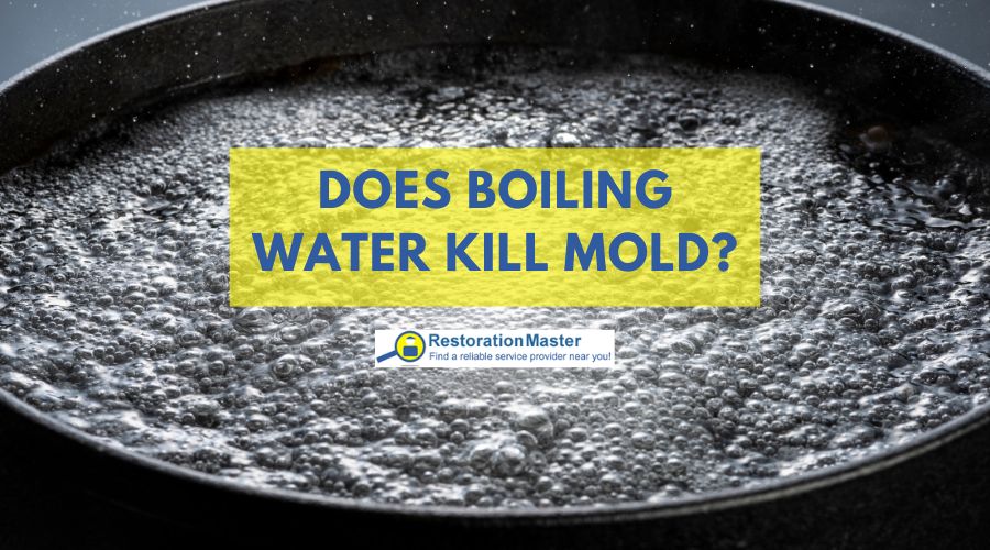 boiling water kills mold