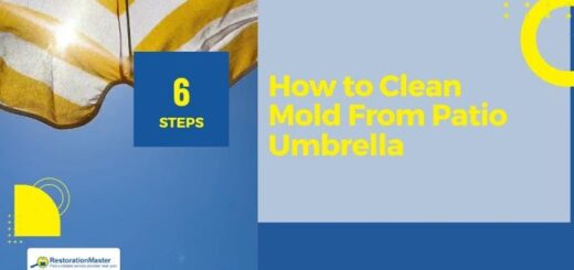 mold removal tips from patio umbrella