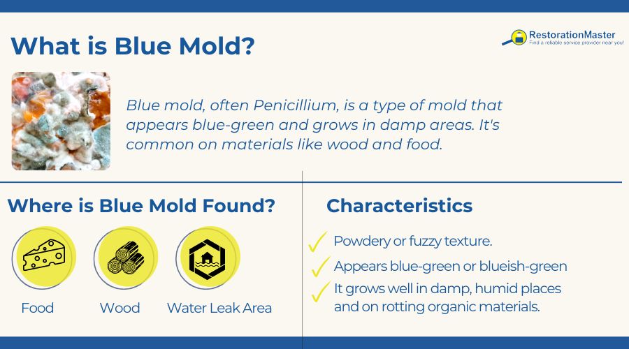 Can Mold Be in Blue Color? How Harmful It is?