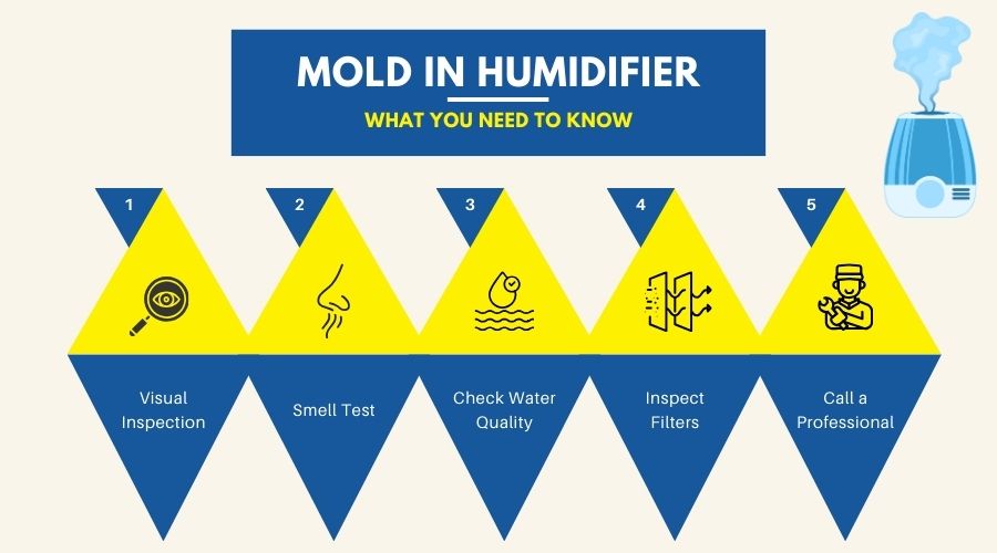 how to find mold in humidifier