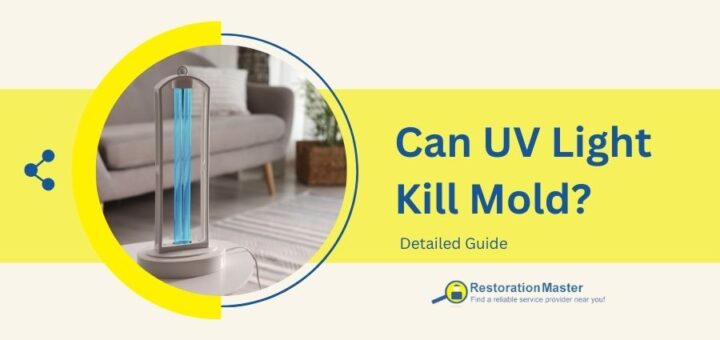 can UV light kill mold?