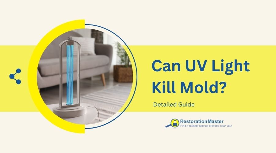 can UV light kill mold?