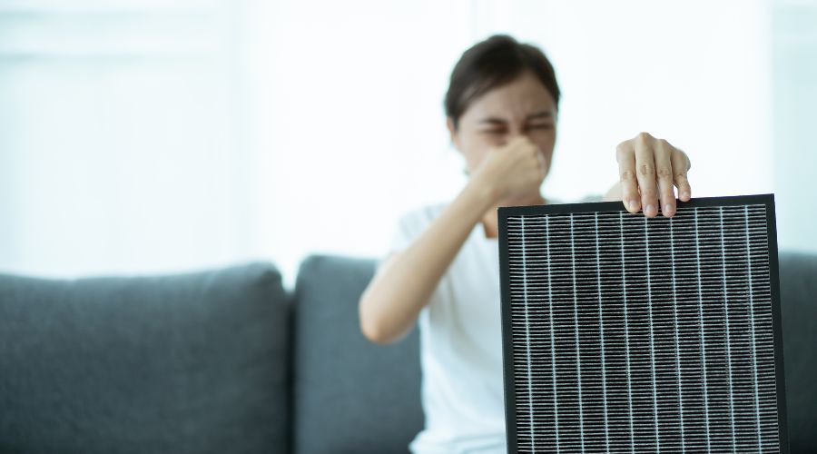 dirty and smelly filters of dehumidifiers