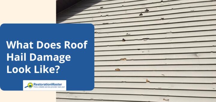 what does roof hail damage look like