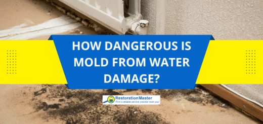 How Dangerous is Mold Growth From Water Damage? - RestorationMaster