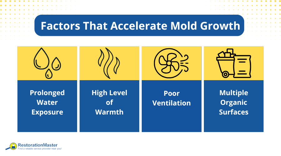 Factors that Accelerate Mold Growth - RestorationMaster