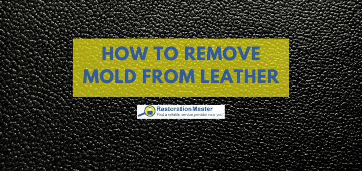 How to Remove Mold from Leather - RestorationMaster