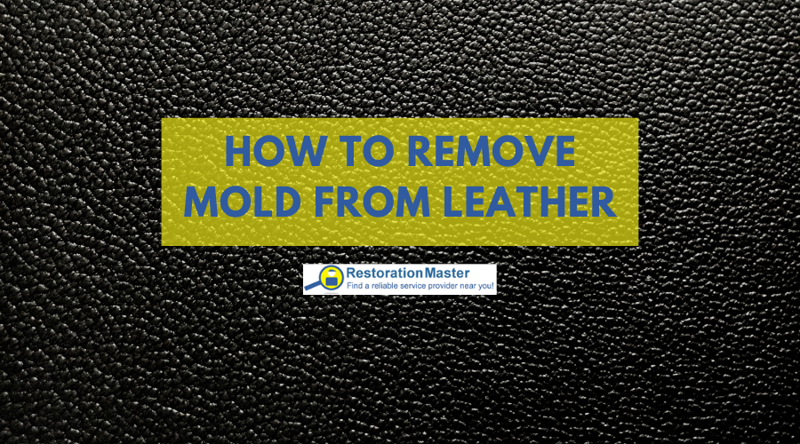 How to Remove Mold from Leather - RestorationMaster