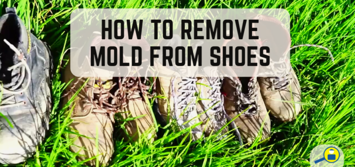 How to Remove Mold from Shoes - RMF