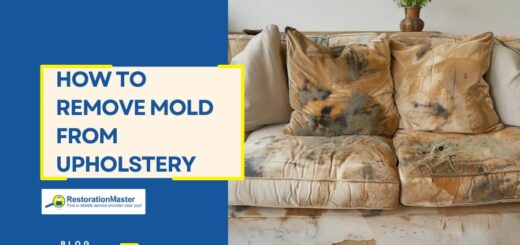 tips-to-remove-mold-from-upholstery