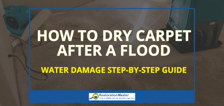 How to Dry Carpet After a Flood - RestorationMaster