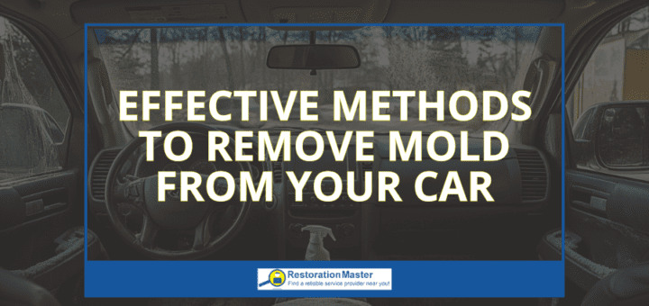 How to Remove Mold from Your Car - RestorationMaster