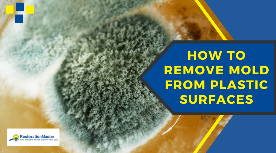 Mold on Plastic Surfaces - RestorationMaster