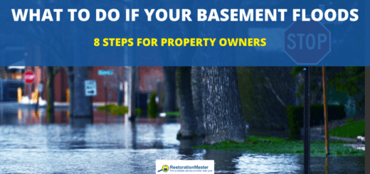 What to Do If Your Basement Floods - RestorationMaster
