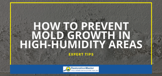 How to Prevent Mold in High Humidity Areas of Home - RestorationMaster