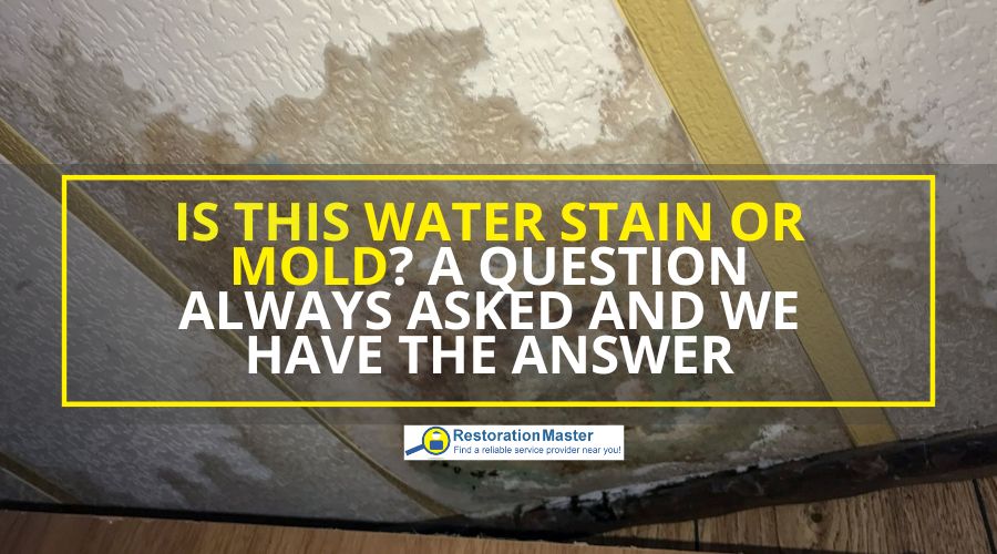 difference between water stains and mold