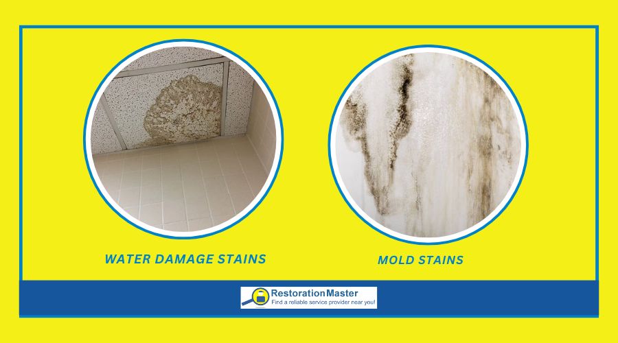 visuals of how a mold stain and water damage stain looks like