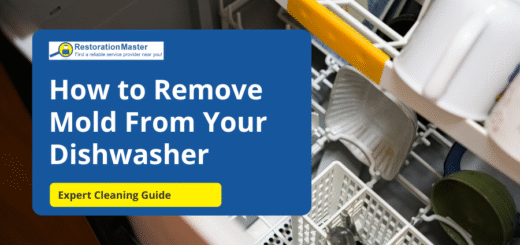 How to Remove Mold from a Dishwasher - RestorationMaster
