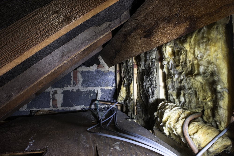 attic-mold-removal-Rock Hill, SC