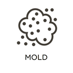 Mold-Remediation