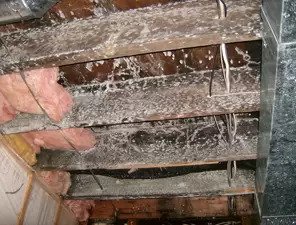 Mold Remediation in Roseville, MN