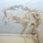 Mold-Remediation-in-Roswell-GA