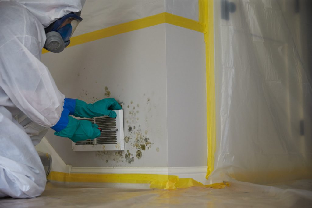 Mold Removal San Diego CA Mold Remediation San Diego CA