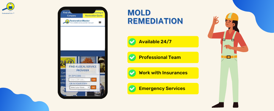 mold remediation - RestorationMaser