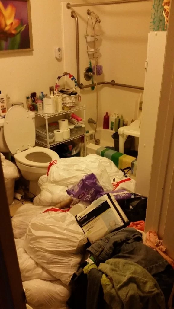 Hoarding Cleanup - before