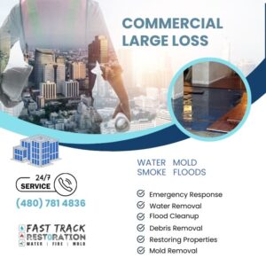 Commercial large Loss in Scottsdale, AZ
