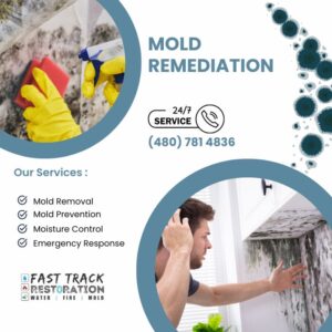 Mold Remediation in Scottsdale, AZ