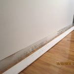 Mold Remediation in Newtown and Yardley, PA - ServiceMaster