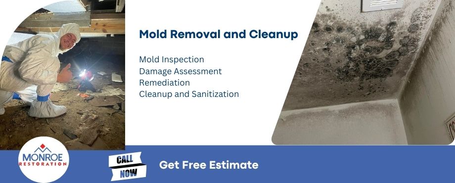 mold-remediation-south-bend-in