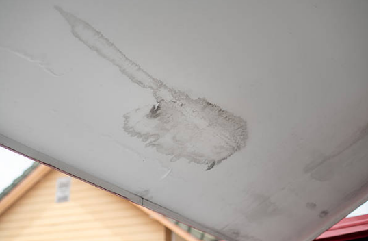 Roof and Attic Leaks