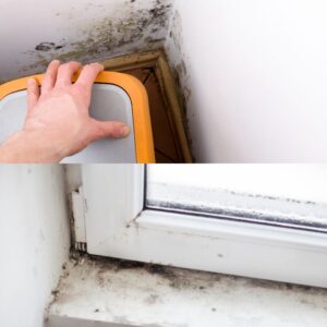 Improving Home Ventilation to Prevent Mold