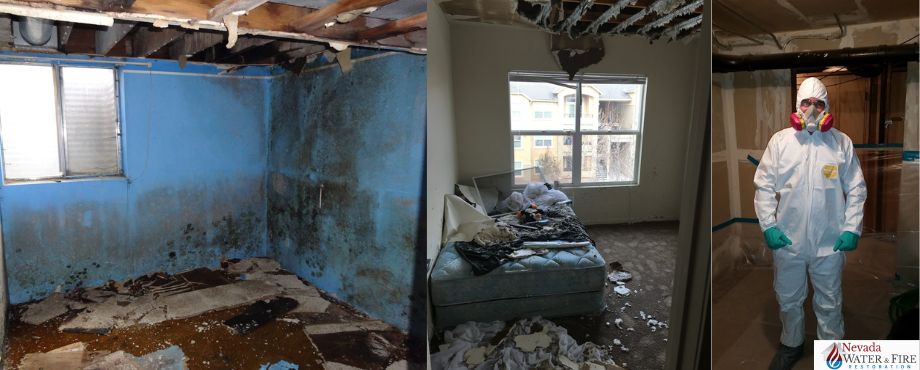 nevada water & fire restoration for mold remediation services