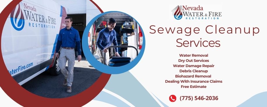 sewage cleanup services sparks nv