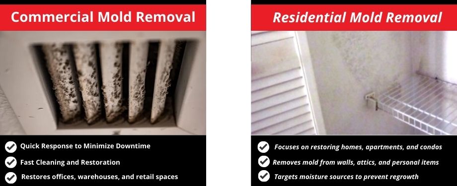 Residential and Commercial Mold Removal Process Spring TX Residential and Commercial Mold Removal Process Spring TX